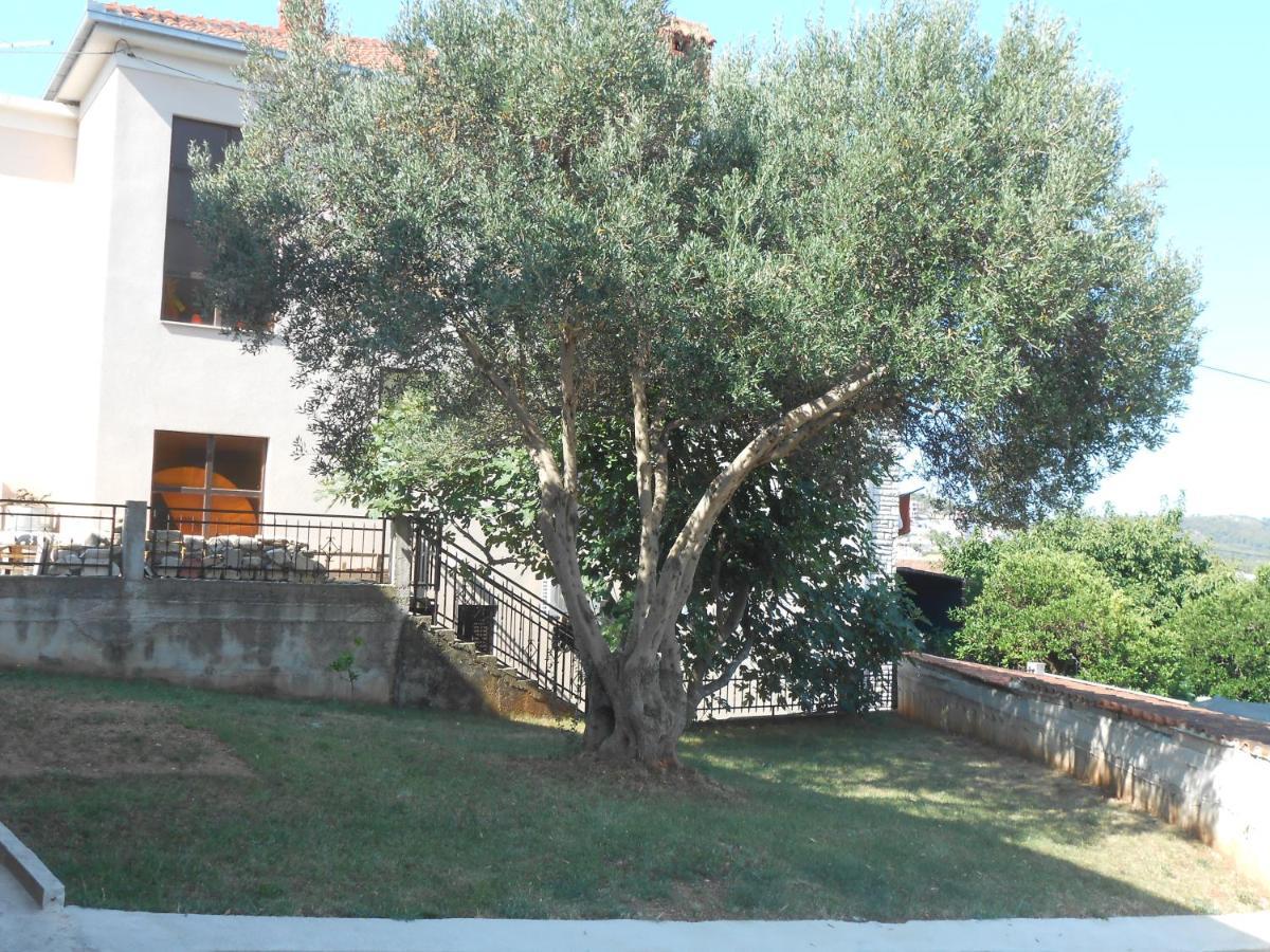 Apartments With A Parking Space Okrug Gornji, Ciovo - 13859 Τρογκίρ Εξωτερικό φωτογραφία